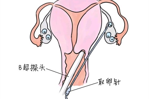 http://changchun.huochezhan.net/post/205.html|长春供卵助孕