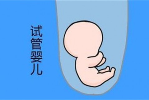 培养长春捐卵宝宝艺术细胞的小技巧