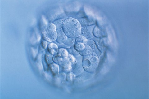 http://changchun.huochezhan.net/post/200.html|长春新闻中心